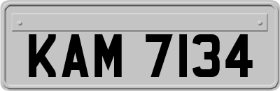 KAM7134