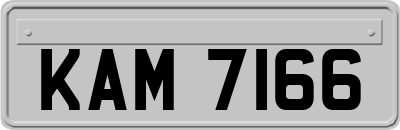KAM7166