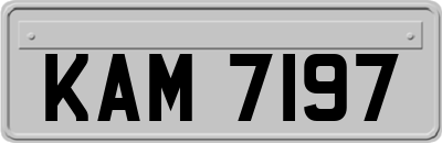 KAM7197