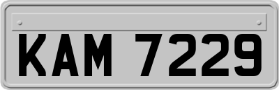 KAM7229