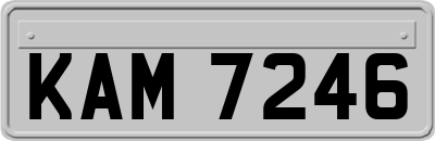 KAM7246