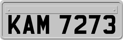 KAM7273