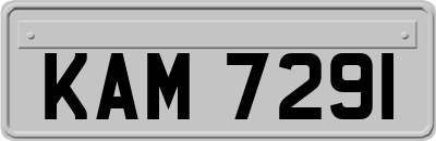 KAM7291