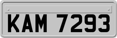KAM7293