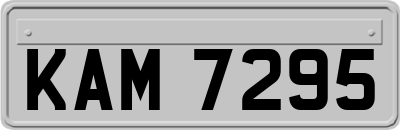KAM7295
