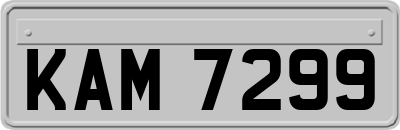 KAM7299