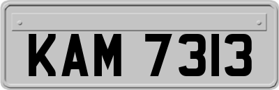 KAM7313