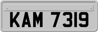 KAM7319