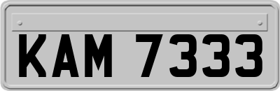 KAM7333