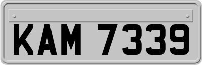 KAM7339