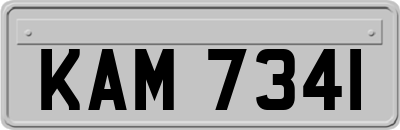 KAM7341
