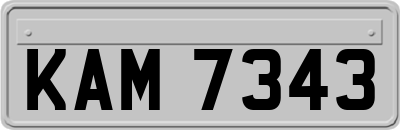 KAM7343