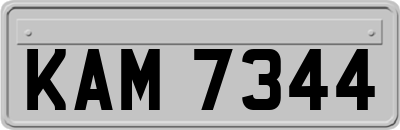 KAM7344