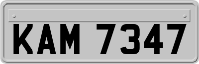 KAM7347