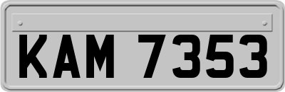 KAM7353