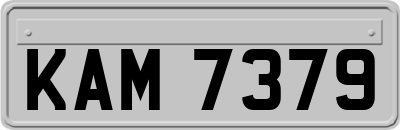 KAM7379