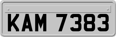 KAM7383