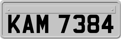 KAM7384