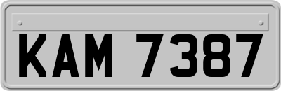 KAM7387