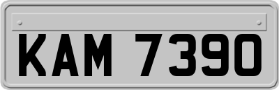 KAM7390
