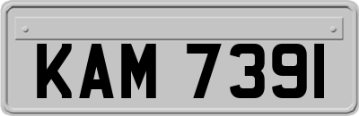 KAM7391