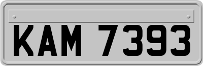 KAM7393