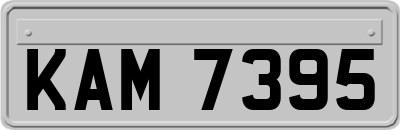 KAM7395