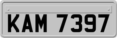 KAM7397