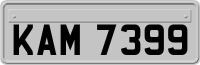 KAM7399