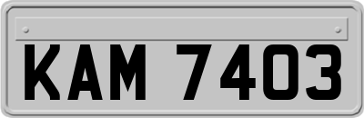 KAM7403