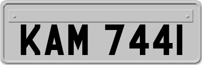KAM7441