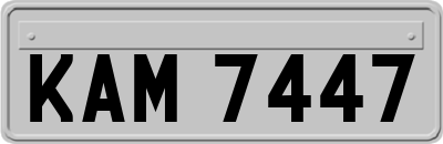 KAM7447