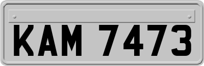 KAM7473