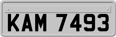 KAM7493