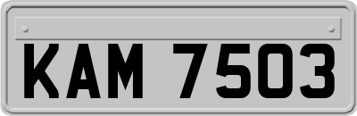 KAM7503