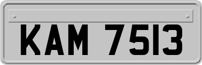 KAM7513
