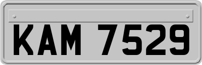 KAM7529