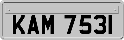 KAM7531