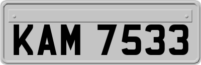 KAM7533