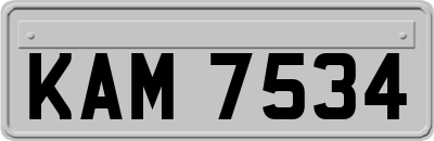KAM7534