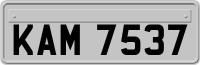 KAM7537