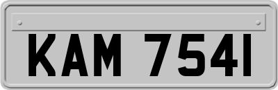 KAM7541