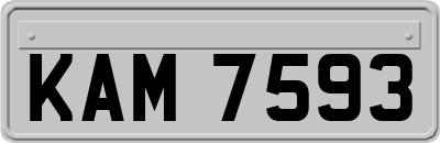 KAM7593