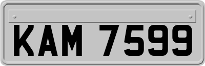 KAM7599