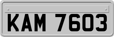 KAM7603