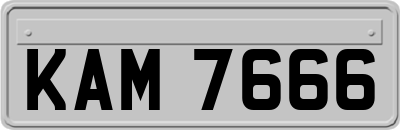 KAM7666