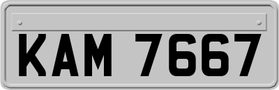 KAM7667