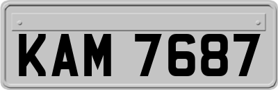 KAM7687