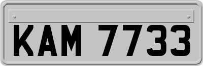 KAM7733