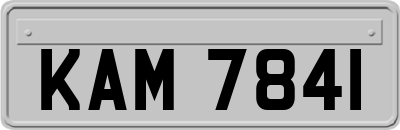 KAM7841